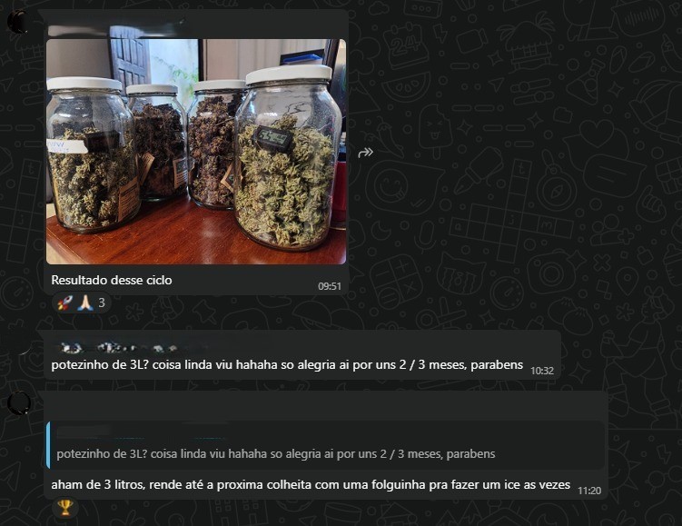 Prova social 6